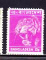 BANGLADESH YT 32