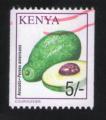 Kenya Oblitr Used Avocado Persea Americana Lgumes Avocat