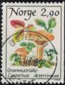 Norvge 1988 Champignon Lactarius deterrimus Lactaire des pinettes Y&T NO947 SU