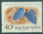 Hongrie 1959 - oblitr - papillon