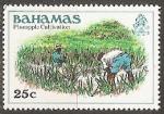 bahamas -- n 461  neuf** -- 1980