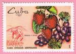 Cuba 1969.- Agric.y Ganader.. Y&T 1328. Scott 1446. Michel 1518.