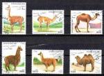 Animaux Camlids Afghanistan 1997 (42) srie compl Yv 1519  1524 oblitr used