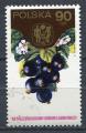 Timbre POLOGNE 1974  Obl  N 2169   Y&T  Fruits Cassis