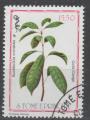 SAO TOME ET PRINCIPE N 759 o Y&T 1983 plante medicinale (Buchholza coriaco)