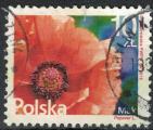 Pologne 2016 Oblitr Used Fleur Coquelicot Papaver rhoeas SU