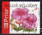 Belgique/Belgium 2004 - Fleur/Flower: impatiens, adhesif - YT 3299A 