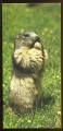 347 la marmotte  IMAGE  NESTLE merveilles du monde 
