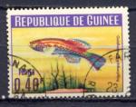 Timbre de Rpublique de GUINEE 1964  Obl  N 178  Y&T  Poissons