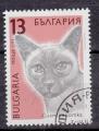 EUBG - 1989 - Yvert n 3291 - Chats : Chat siamois (Felis silvestris catus)