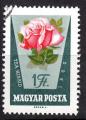 EUHU - 1962 - Yvert n 1520 - Rose