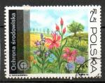 Pologne Yvert N2109 Oblitr 1973 Peinture Prairie en fleurs