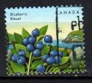 CANADA N 1262 o Y&T 1992 Baies sauvages Blue berry