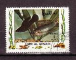 UMM-AL-QIWAIN - Timbre oblitr poisson