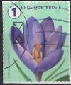 Belgique 2016 Oblitr Used Flower Fleur Crocus SU