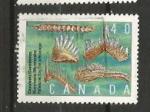 CANADA - oblitr/used - 1991 - n 1181