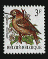 Belgique 1984 - Y&T 2186 - oblitr - oiseau (gros-bec)