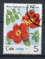 Timbre  CUBA   1979  Obl  N  2143    Y&T  Roses de Cuba