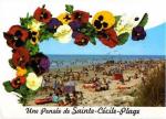 Ste-CECILE-Plage (62) - Vue gnrale de la plage, fleurs (penses)- 1995