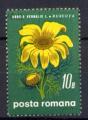 Timbre ROUMANIE  1970  Obl  N 2518  Y&T  Fleurs