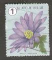 Belgium - OBP 4660   flower / fleur