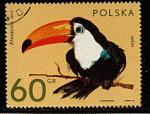 Pologne 1972 - YT 2009 - oblitr - toucan