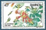 Rwanda n1184 Audubon - colibris neuf**