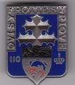 Insigne 110 Rgiment d'Infanterie - 110 RI.