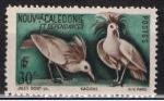 Nouvelle Calédonie / 1948 / Cagous / YT n° 260 **