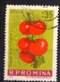 Timbre ROUMANIE  1963  Obl  N 1902  Y&T   Fruits