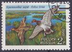 Timbre oblitr n 5959(Yvert) Russie 1992 - Oiseaux, canards