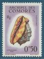 Comores N19 Coquillage - Cypraecassis rufa neuf**
