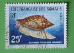 Somalis 1962 - Nr 313 - Coquillage Strombus (obl)