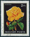 Hongrie - oblitr - rose (diorama)