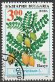 Timbre oblitr n 3615(Yvert) Bulgarie 1995 - Plante comestible, pois chiche