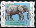 Timbre de BULGARIE 1988  Obl  N 3168   Y&T  Elephant