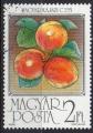 HONGRIE N 3058 o Y&T 1986 Fruits (Abricots)
