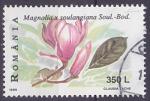 Timbre oblitr n 4518(Yvert) Roumanie 1999 - Fleur, magniola
