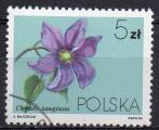 POLOGNE N 2718 o Y&T 1984 Fleurs (Clematis lanuginosa)
