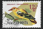  Hongrie oblitr YT 1482 oiseau