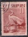Albanie 1961; Y&T 554; 11 L,  oiseau, aigrette