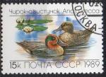 URSS N 5642 o Y&T 1989 faune canards (Anas crecca)