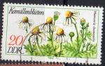 ALLEMAGNE (RDA) N 1959 o Y&T 1978 Plante officinales (fleur de camomille)