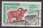 MAURITANIE - 1961 - Mouflon  - Yvert 143 oblitr