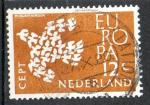 Pays-Bas Yvert N738 Oblitr EUROPA 1961