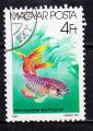 EUHU - 1987 - Yvert n 3090 - Splendide Killifish (Aphyosemion multicolor)