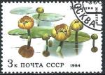 Russie - 1984 - Y & T n 5097 - O.