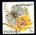 Fujeira - SG 193   butterfly / papillon