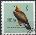 POLOGNE N 1076 o Y&T 1960 Oiseaux (Aigle royal)