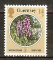 GUERNESEY N360** (europa 1986) - COTE 1.10 